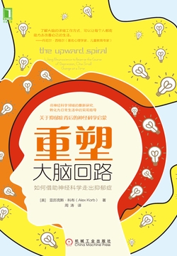 重塑大脑回路:如何借助神经科学走出抑郁症