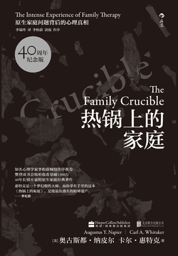 热锅上的家庭:家庭问题背后的心理真相