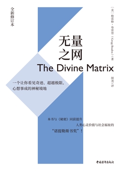 无量之网:一个让你看见奇迹、超越极限、心想事成的神秘境地(全新修订本)