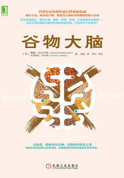 谷物大脑