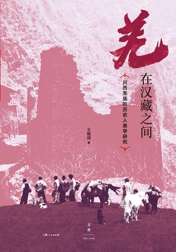 羌在汉藏之间:川西羌族的历史人类学研究