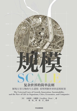 规模