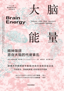大脑能量