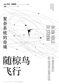 随椋鸟飞行:复杂系统的奇境
