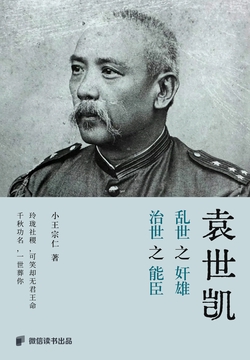 袁世凯:乱世之奸雄,治世之能臣