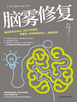 脑雾修复